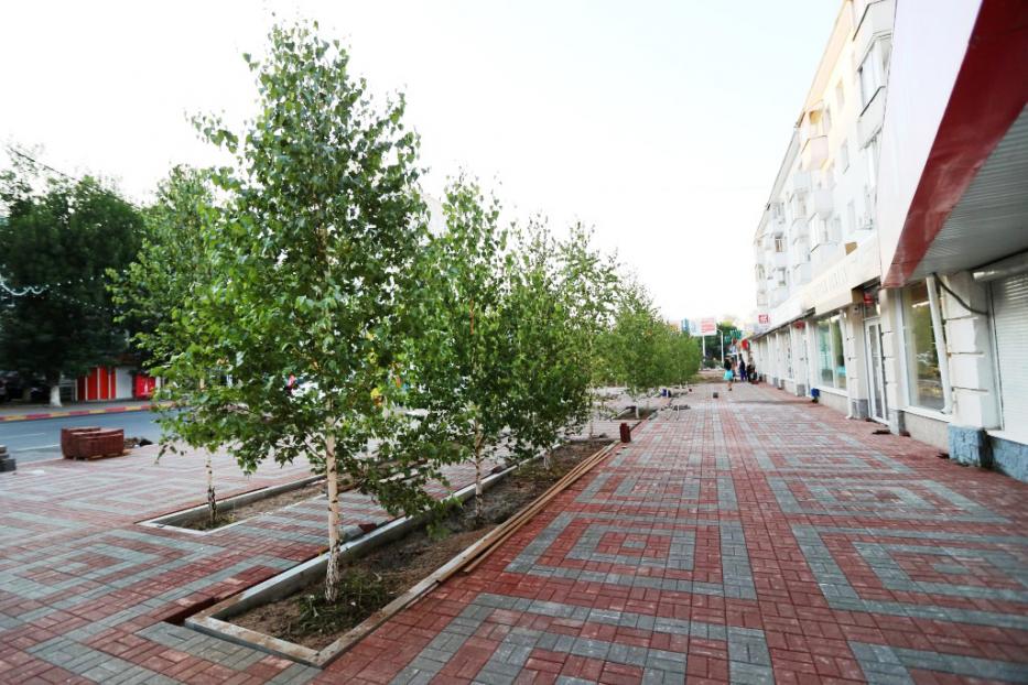 В Уфе и в городских лесах высажено более 28 000 новых деревьев