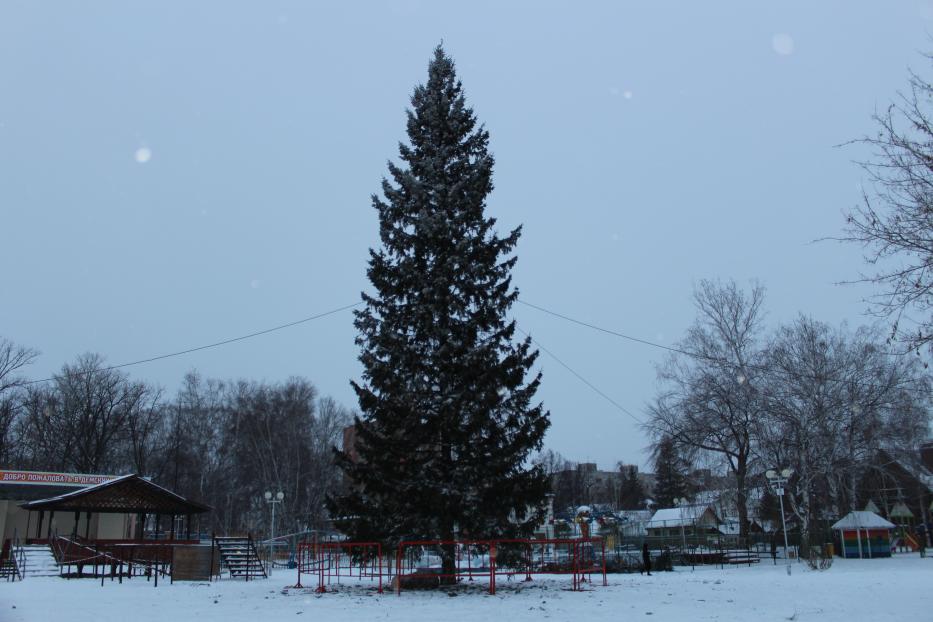 В Демском парке установили новогоднюю елку
