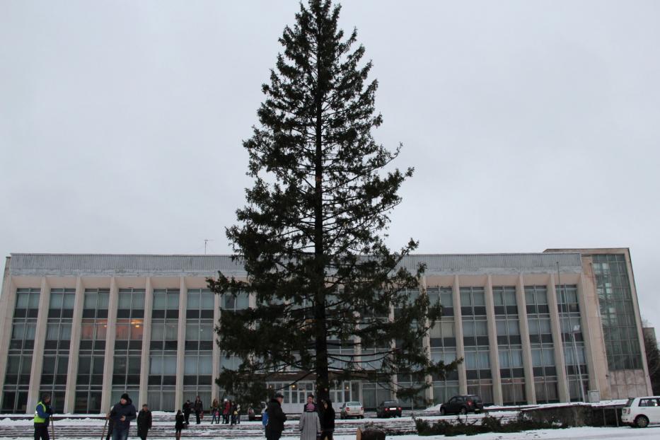 Установлена главная елка Калининского района