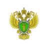 По требованию прокурора Уфы заблокированы сайты, содержащие запрещенную информацию