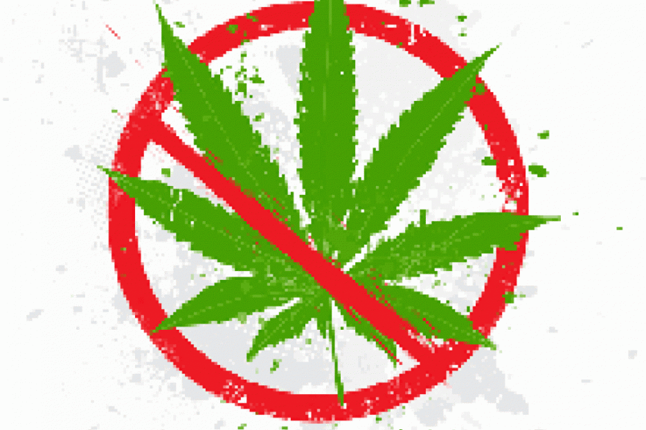 Культивирование растений, содержащих наркотические вещества, является незаконным