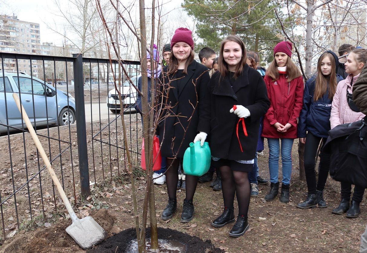 Школьники Октябрьского района провели экологическую акцию «Растем вместе»