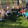 В Демском районе Уфы посадили более 4000 саженцев деревьев