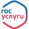 О преимущества получении государственных услуг в электронном виде