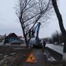 В Демском районе Уфы ведется работа по кронированию деревьев