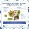 В парке Якутова реализуется проект уфатактильная