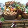 Приглашаем на сельскохозяйственные ярмарки!