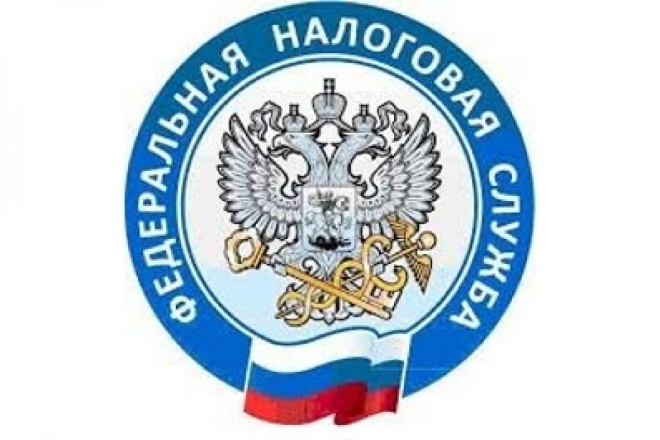 Узнать о порядке получения услуг ФНС России можно с помощью портала государственных услуг