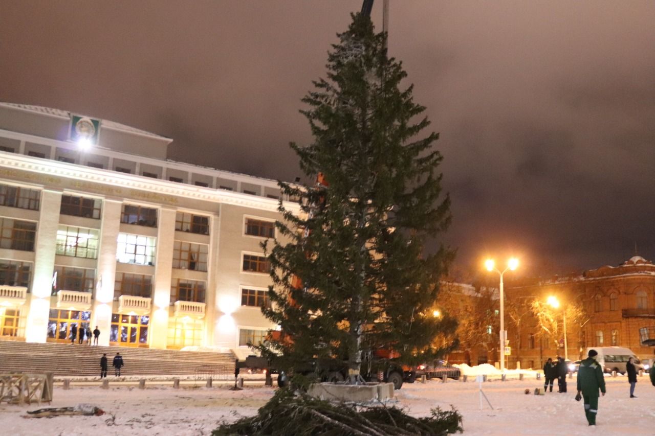 На Советской площади установили новогоднюю елку