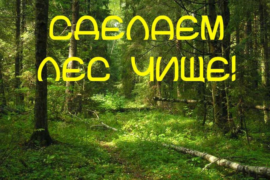 24 июня в Октябрьском районе Уфы пройдет экологическая акция «Чистим лес»