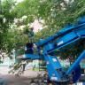 В Кировском районе города Уфы продолжаются работы по сносу и омолаживающей обрезке деревьев