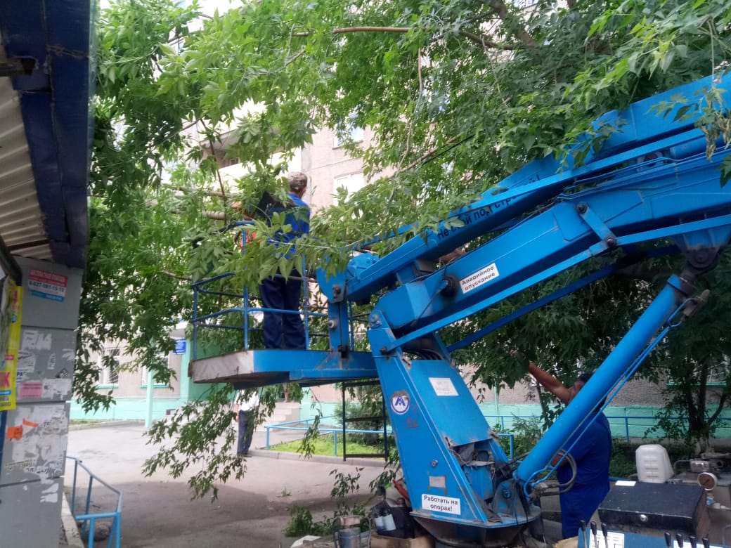 В Кировском районе города Уфы продолжаются работы по сносу и омолаживающей обрезке деревьев