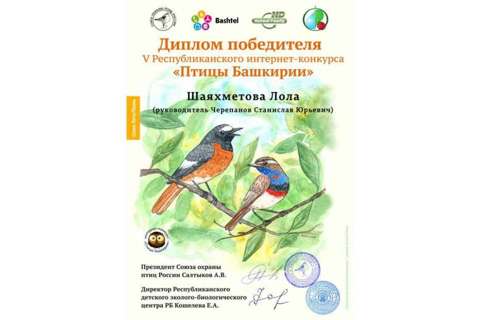 Юные экологи Кировского района г. Уфы представили свои творческие работы
