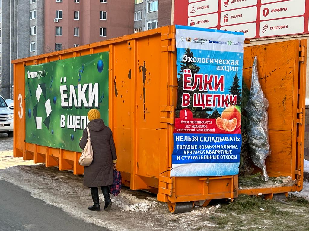 В Кировском районе проходит экологическая акция «Ёлки в щепки»