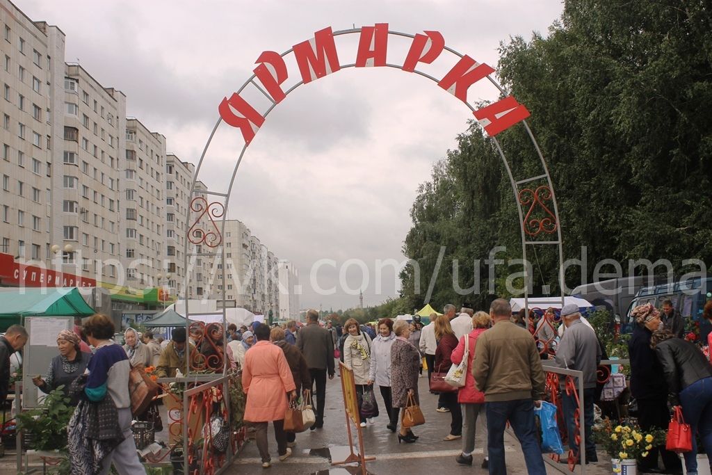 Богатая осенняя ярмарка развернулась сегодня в Демском районе Уфы