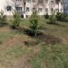 Предложите названия для новых аллей
