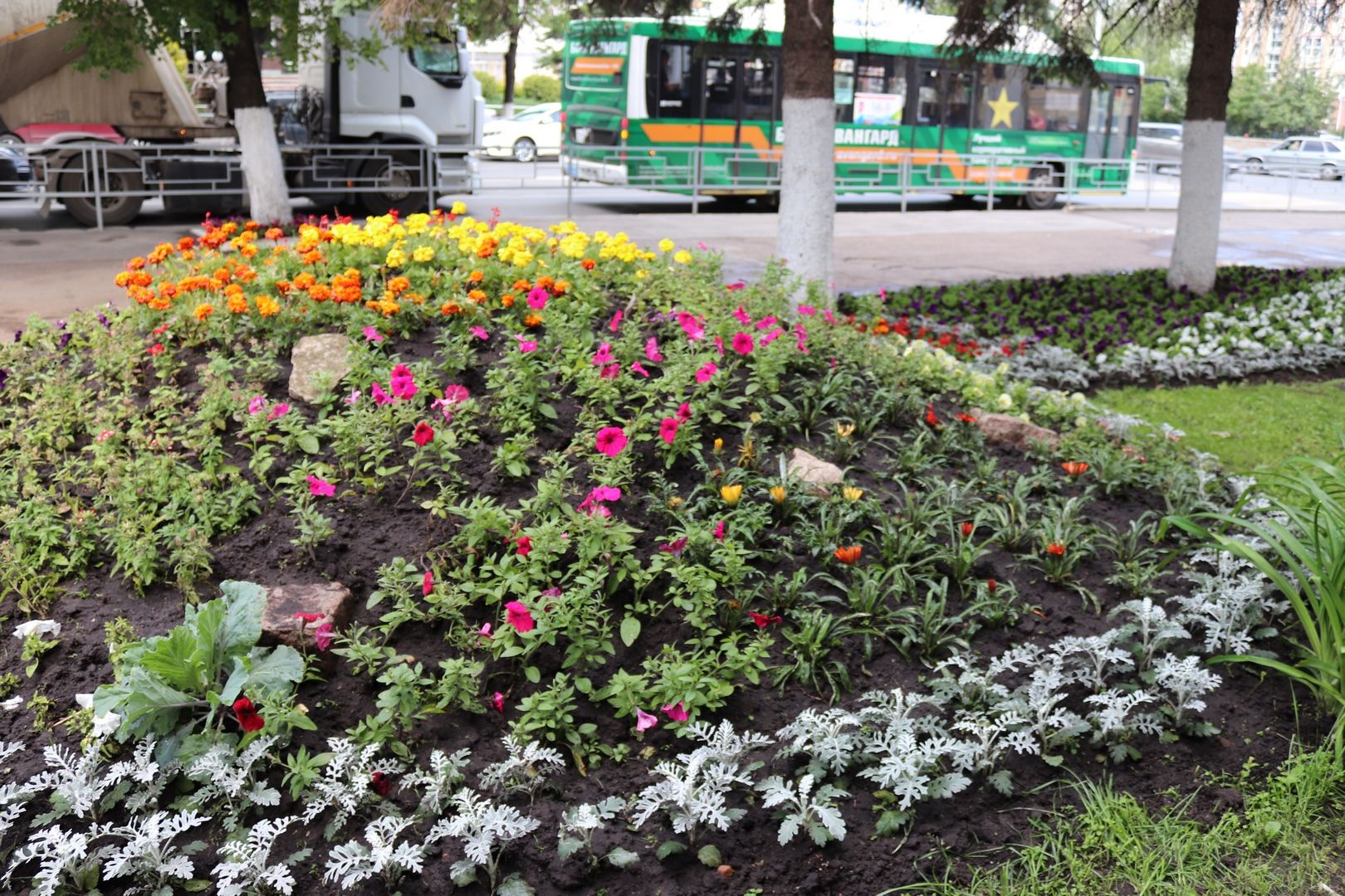 В Кировском районе высадили более 32 тысяч цветов