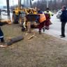 В Октябрьском районе оперативно ликвидированы последствия сильного ветра