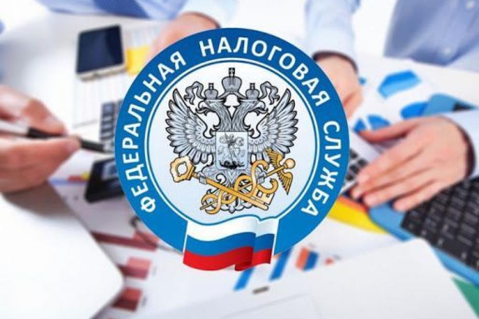 На сайте ФНС России заработал специальный сервис для выплаты субсидий малому и среднему бизнесу