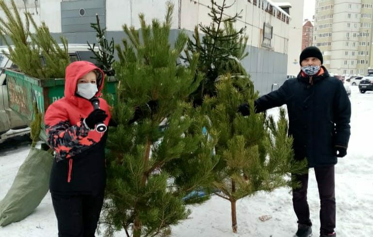 В Уфе стартовала экологическая акция по утилизации новогодних елей «Ёлки в щепки»
