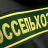Внимание! Карантинный объект - Коричнево-мраморный клоп!!!