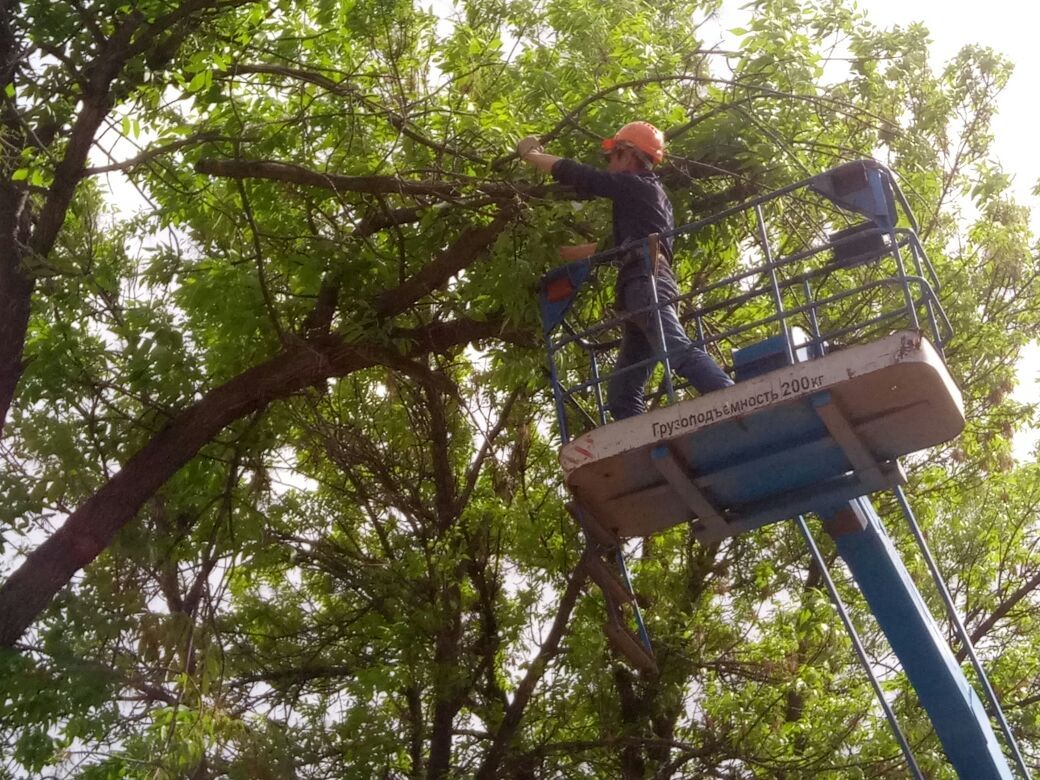В Кировском районе города Уфы продолжаются работы по сносу и кронированию деревьев