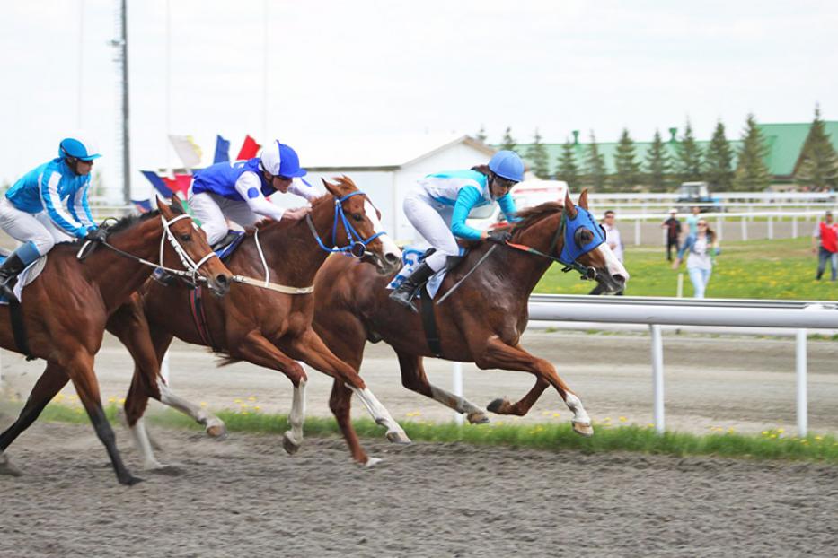 В Уфе 9 мая состоится конно-спортивный праздник