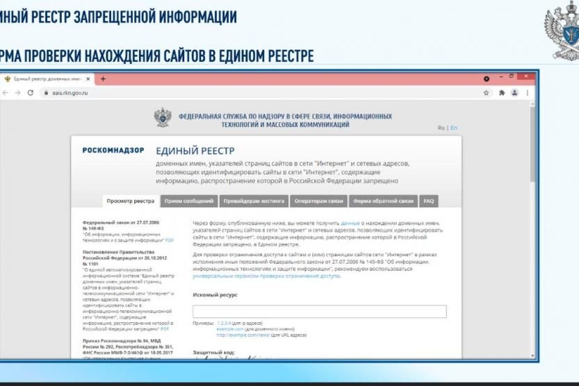 Единый домен запрещенной информации. Признание информации запрещенной.