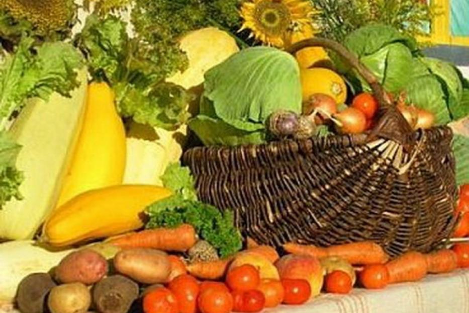 Спешите приобрести продукцию от сельхозпроизводителей Республики Башкортостан
