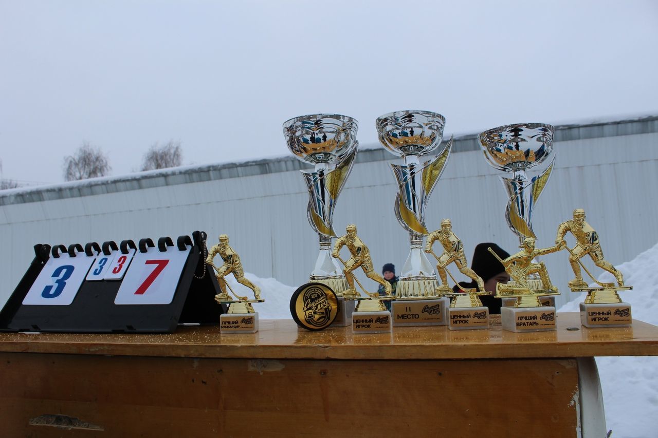 «Студёный лёд»: в Дёмском районе Уфы состоялся турнир по хоккею с шайбой 