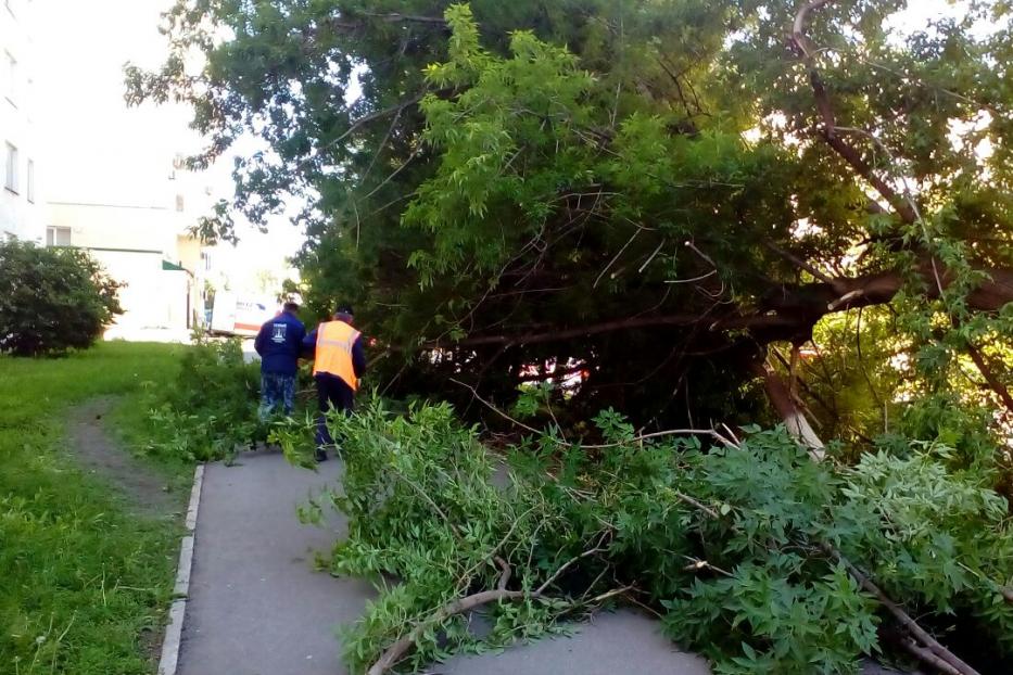 Последствия непогоды устраняются