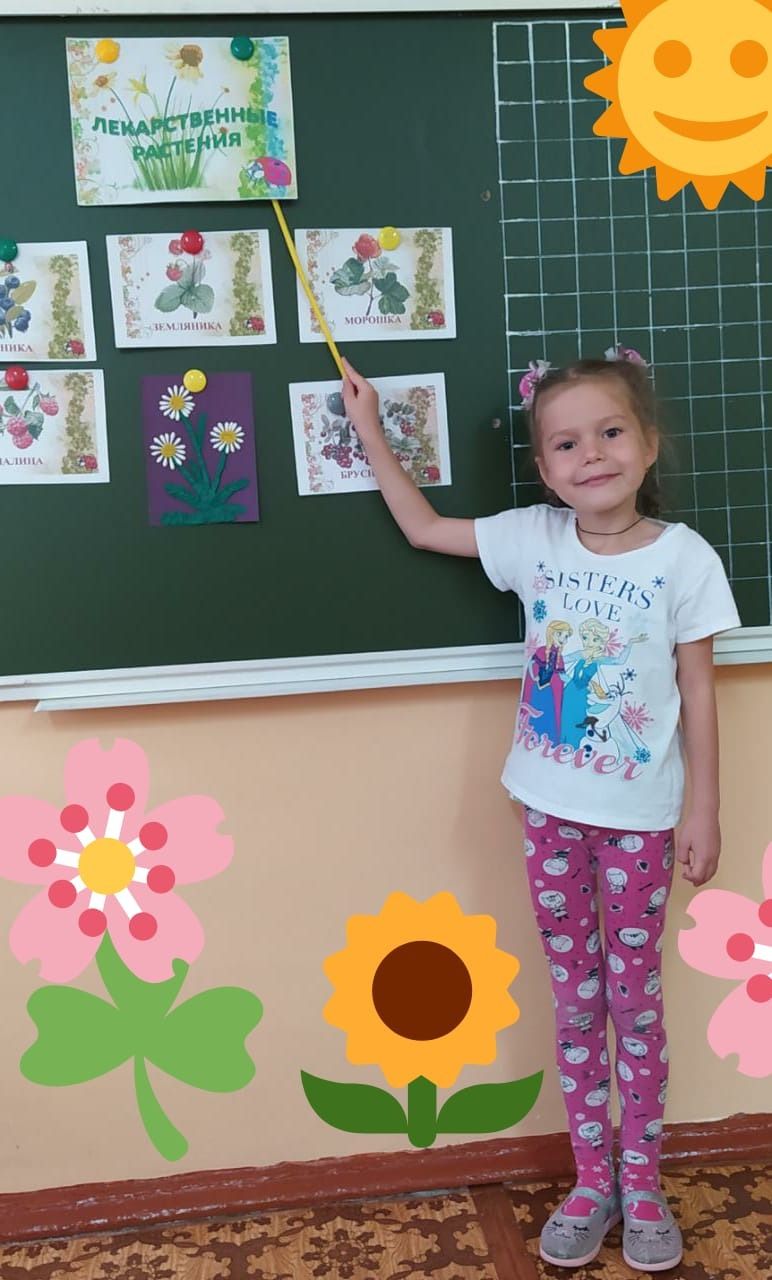 В детском саду Советского района провели день лекарственных растений