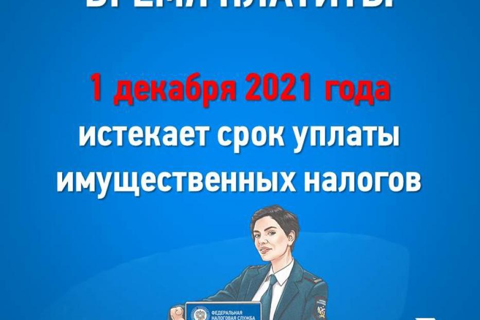 Время платить: 1 декабря 2021 года истекает срок уплаты имущественных налогов