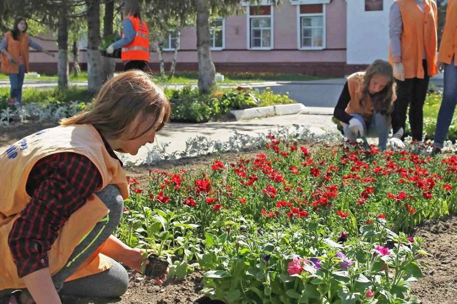 Каникулы с пользой