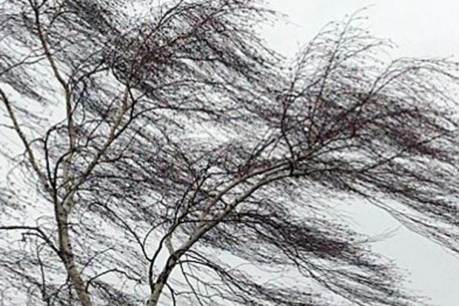 В Уфе ожидается усиление ветра до 18 метров в секунду