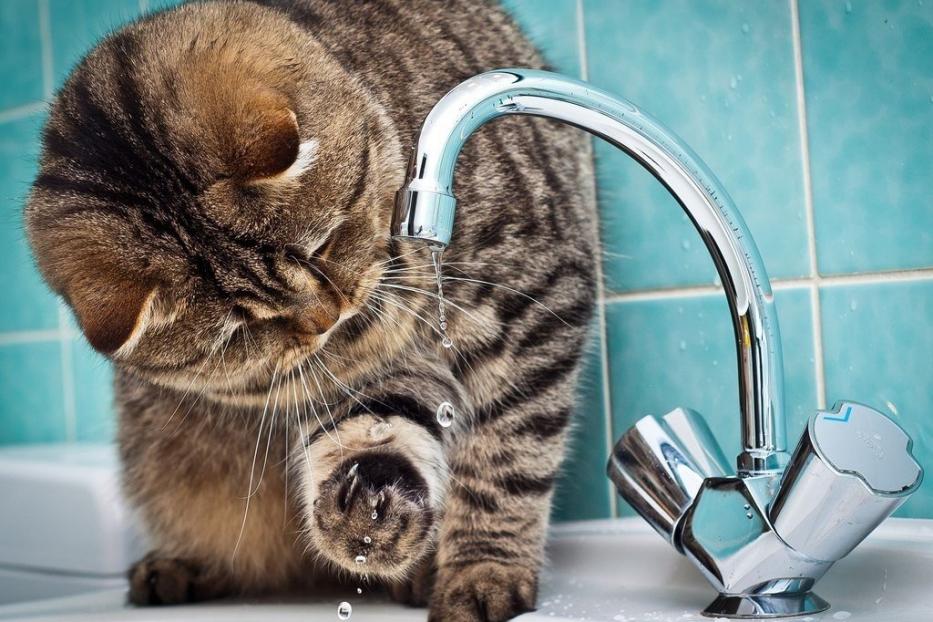 В Октябрьском районе Уфы пройдет плановое отключение воды