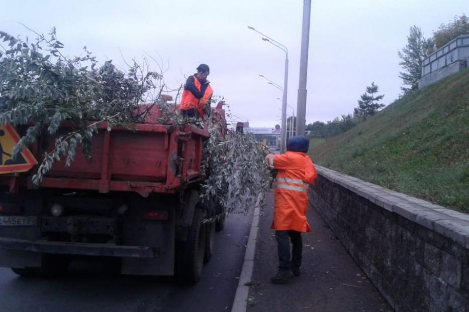 В осенний период продолжается снос и кронирование деревьев