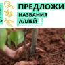 Название для аллеи выберем вместе