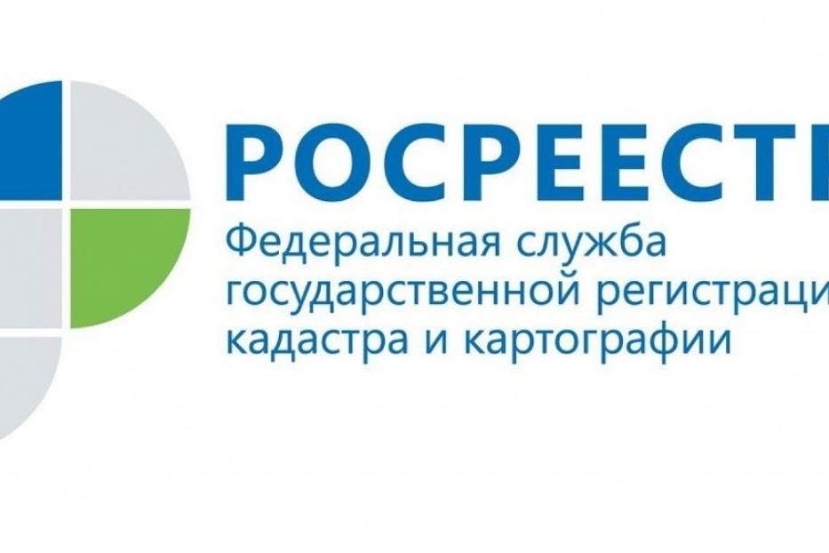 Государственные услуги Росреестра быстро