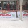 В Кировском районе проходит ярмарка