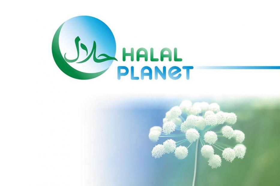 В Уфе состоится Международный исламский ЭКСПО-форум Halal Planet