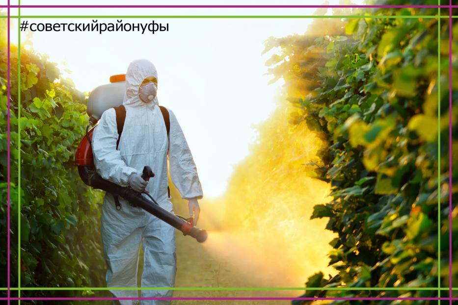 В Советском районе пройдут профилактические мероприятия по обработке от комаров, клещей и грызунов