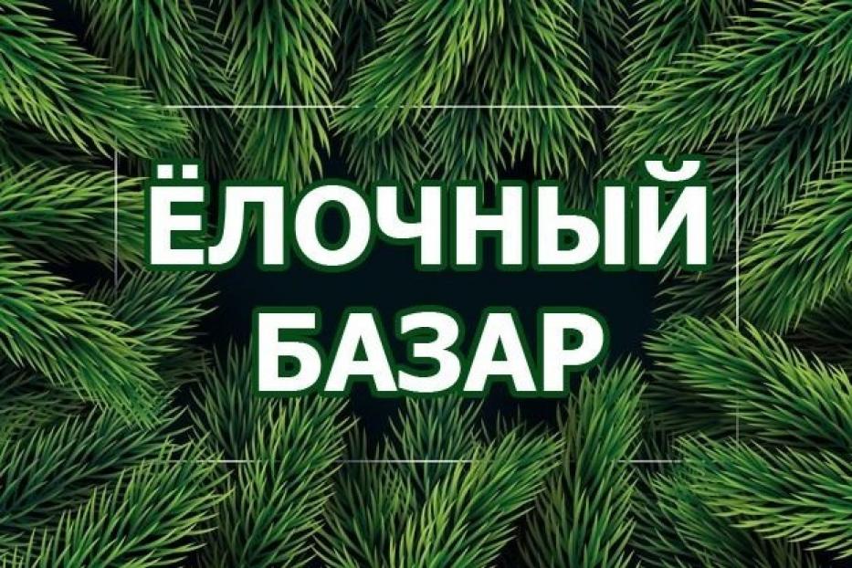 Ёлочные базары Советского района продолжают свою работу