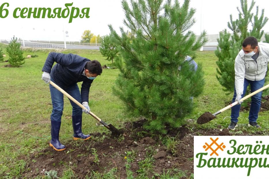 Дёмцев приглашают принять участие в экологической акции «Зелёная Башкирия – Зелёная Россия»