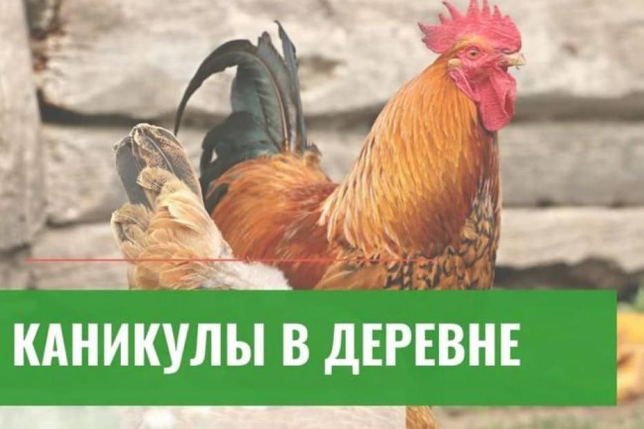 Челлендж #villagelife от студентов экономического факультета БГАУ