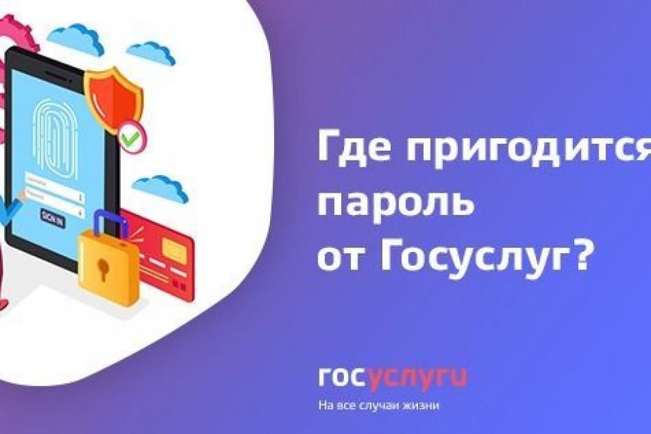 Где может пригодиться пароль от Госуслуг?