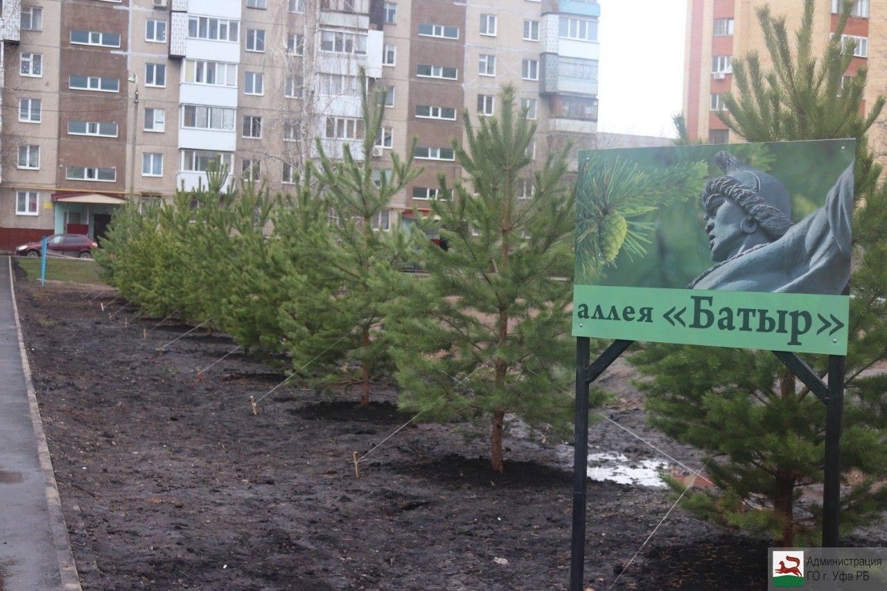 В Уфе пройдут экологические акции «Зелёная Башкирия» и «Сад памяти»