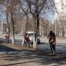 В Советском районе прошел масштабный субботник