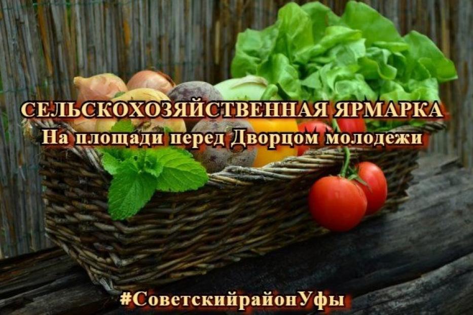 На площади перед Дворцом молодежи пройдет сельскохозяйственная ярмарка