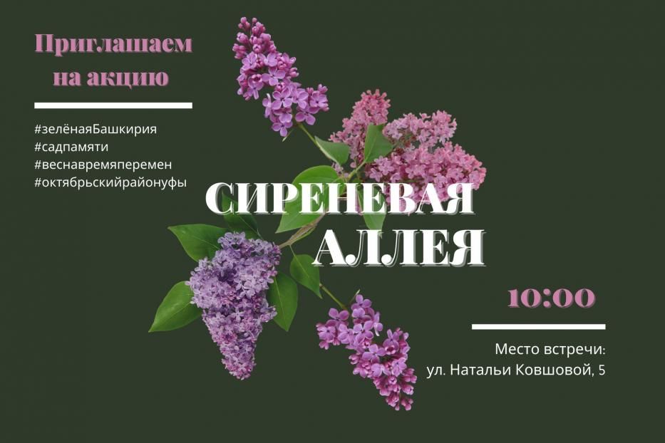 Подарите жизнь сиреневой аллее! 